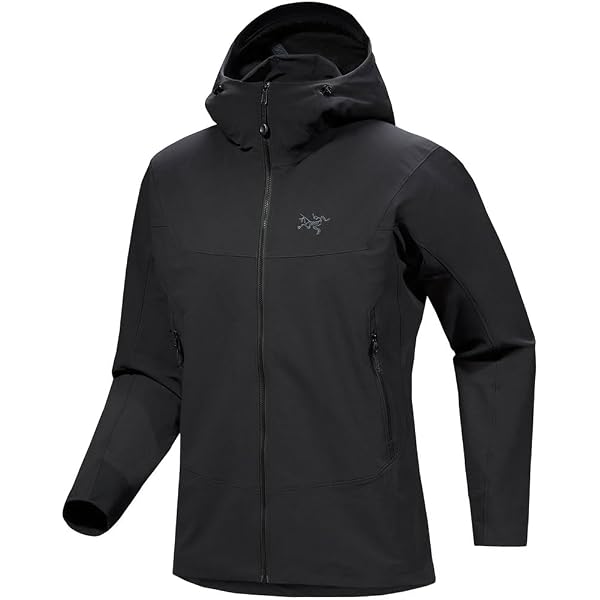 Amazon.co.jp: [アークテリクス] ARCTERYX ガンマフーディ男性用