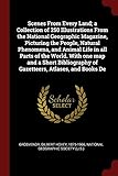 Scenes from Every Land; A Collection of 250 Illustrations from the National Geographic Magazine, Picturing the People, Natural Phenomena, and Animal Life in All Parts of the World. with One Map and a Short Bibliography of Gazetteers, Atlases, and Books de