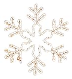 American Lighting LED-WW-HSM-SNOWFA24 Snowflake Holiday Rope Light Motif 24-Inch【クリスマス】【ツリー】 [並行輸入品]