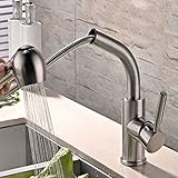 RaiFu 蛇口 回転伸縮可能 306ステンレススチール 冷たい＆温水 タップ引っ張りタイプ キッチン 野菜の盆地の装飾のため RC-8663パイプ引っ張り