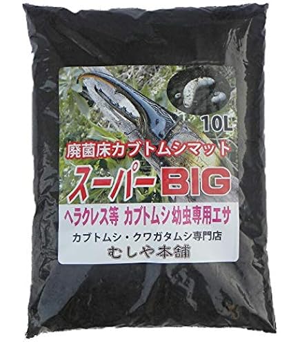 Amazon | 【販売 むしや本舗】超高カロリー！ 廃菌床 完熟 カブトムシ