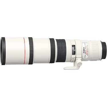 Canon EF 望遠レンズ 5本まとめ 2024 Amazon.co.jp 売れ筋ランキング: undefined の中で最も人気のある商品です
