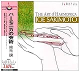 �n�[���j�J�̌|�p