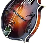 柔軟なMICRO-Gooseneck FEATHER F-STYLE Mandolin PICKUP by Myersピックアップ