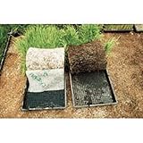 カルネッコ 100枚入