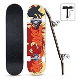 Rouffiel スケートボード 31インチ 超静音ABEC-9製ベアリング 95Aウィール採用12月保証、スケボー コンプリート若者 大人