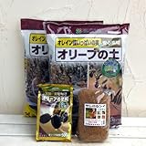 オリーブの栽培セット（培養土・肥料・マルチング材）[オリーブの鉢栽培・植え替えに！]