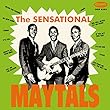 ザ・センセーショナル・メイタルズ