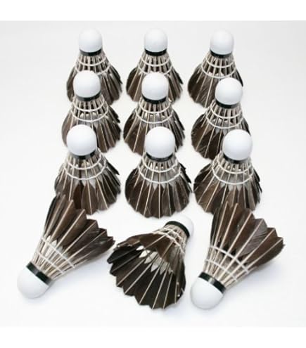 Amazon.co.jp: バドミントン シャトル 検定球 1ダース 12球 試合