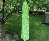 魔法使いハウルと火の悪魔39.37 " Set of 10 Artifical Wisteria文字列Hangingシルクフラワーガーデン花柄のデコレーション文字列DIYリビングルームHanging 