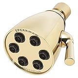 Speakman S-2252-PB Icon Anystream High Pressure Adjustable Shower Head, Polished Brass [並行輸入品]