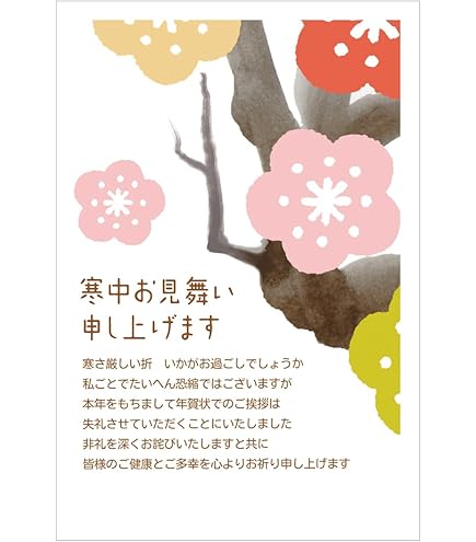 Amazon.co.jp: 寒中見舞い（年賀状じまい文章）私製ハガキ 10枚入り