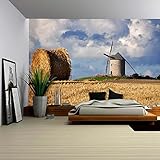 wall26 – 自己粘着壁紙大壁壁画シリーズ 66"x96" WMR-WP-X-C234-66x24x4
