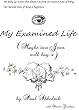 My Examined Life: (Maybe two Jews will buy it) (English Edition)