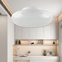 定価4.7万　美品　LEDシーリングライト Amazon.co.jp : LEDシーリングライト 20w 200w相当 昼白色 5000k