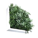 SHIBAFU3 White Frame 300
