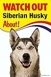 WATCH OUT Siberian Husky 画像イラストサインボード：シベリアンハスキー 英語看板 イギリス製 Made in U.K [並行輸入品]