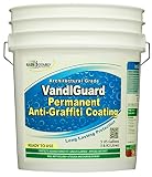 Rainguard VandlGuard Anti-graffiti Permanent Non-sacrificial Barrier Coating for Protection Against 
