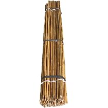 Amazon | 臼井農畜産 (自社製造) 天然竹 女竹 90cm100本 【根元カット