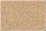 日本製 クリーンテックス・ジャパン(Kleen-Tex) 万能玄関マット スタンダードマットS 45×75cm シャンペーン AM00013