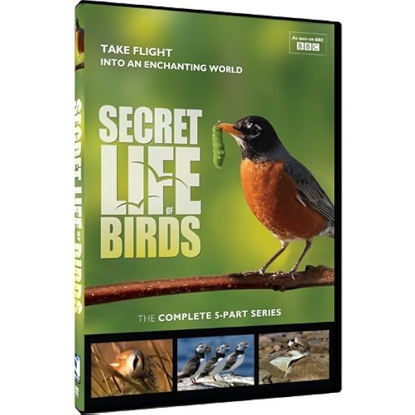 ライフ・オブ・バーズ/鳥の世界 DVD-BOX〈10枚組〉　鳥の生態 Amazon.co.jp: BBC The Life of Birds -鳥の世界- DVD-BOX (10