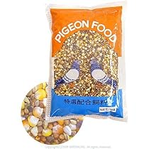 51p19874y7L._AC_UL210_SR210,