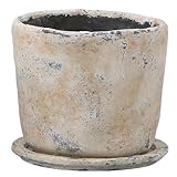 自然派花器　弥生 LL