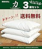 【3袋セット販売】シークレットソイル『力』（60Ｌ）