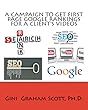 A Campaign to Get First-Page Google Rankings for a Client's Videos: Getting to the Top of Page One for a Book Series on Criminal Justice and American Society (English Edition)