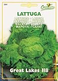 【HORTUS社種子】【Art.3081】レタス・グレートレイク