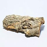 Amazon コルク ブランチ Sサイズ 12cm 枝 着生 観葉植物 オンライン通販