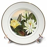 BLN Japanese Woodblock花by Tanigami Konan – Pretty large pale yellow water lilies – プレート 8-Inch cp_17