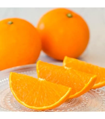 Amazon.co.jp: みかん せとか 〇等級 4L～3Lサイズ 5kg 愛媛県産 JA