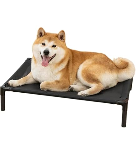 Amazon | Zitixo 犬用ベッド 噛んでも破れない 小型犬 耐噛み 脚付き