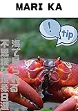 海で見られる不思議な現象８選 ( NO 6)