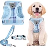 PUPTECK 犬 ハーネス リード セット 犬用 胴輪 ソフト マジックテープ付き 反射素材付き ペット用品 はーねす 引っ張り防止 抜けない 喉に優しい 調節可能 着脱簡単 軽量 メッシュ 快適 通気 手洗い 耐久性 安全 散歩 しつけ 訓練 老犬介護 人気 可愛い おしゃれ 超小型犬 小型犬 中型犬 大型犬（ブルー チェック、Sサイズ）