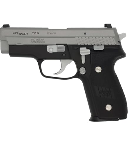 Amazon | タナカ (Tanaka) シグ P229 .357SIG エボリューション2