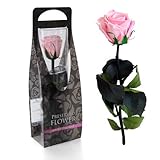 ショートステムローズ ベイビーピンク 165-51021-7