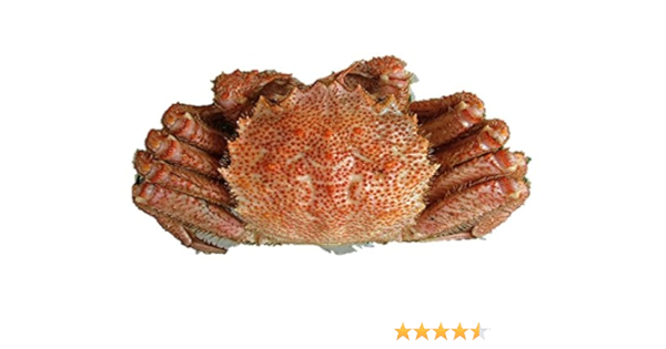 Amazon 活毛ガニ 特大サイズ 北海道産 800 900g 杯 築地直送 毛蟹 カニ かに 鮮魚 株式会社okawari カニ 通販