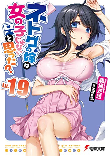 ネトゲの嫁は女の子じゃないと思った? Lv.19 (電撃文庫)