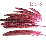 HARU雑貨 フェザー 羽根 キジ 10枚セット 雉 染め 装飾 手芸 コサージュ ハンドメイド アクセサリー パーツ ダンス 髪飾 (ピンク)