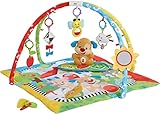 Fisher-Price Puppy 'n Pals 学習ジム