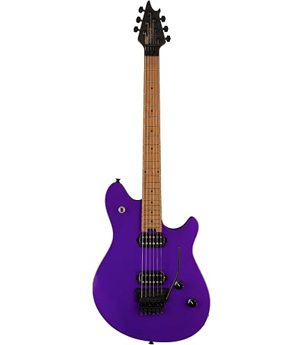 Amazon | EVH エレキギター Wolfgang® WG Standard Exotic Ziricote