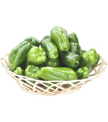 Amazon.co.jp: たじまピーマン 兵庫県産 皆が知らない日本の食宝