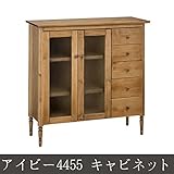 アイビー4455 キャビネットキャビネット収納 家具 書棚 木製 ラック 多目的ラック 収納棚