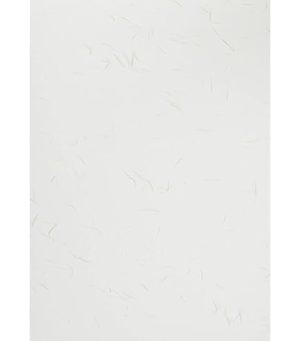 Amazon | 和紙のイシカワ OA和紙並厚 白 B4判 100枚入 10袋 WP-584800