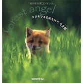 キタキツネのおもいで (SEISEISHA minibook)