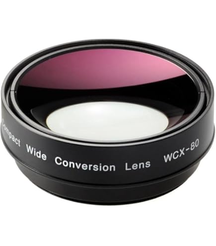Amazon | パナソニック ワイドコンバージョンレンズ VW-W4907H-K