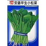 小松菜 種 【 安藤早生小松菜 】 種子 小袋（約10ml）
