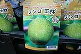 【果樹苗】【接木】　リンゴ　王林　一年生　【送料込価格】